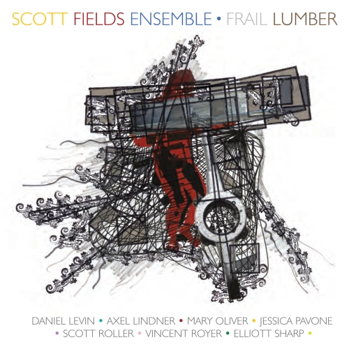 Scott Fields Ensemble - Frail Lumber [CD]
