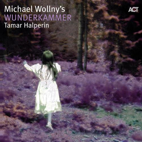 Michael Wollny's - Wunderkammer [CD]