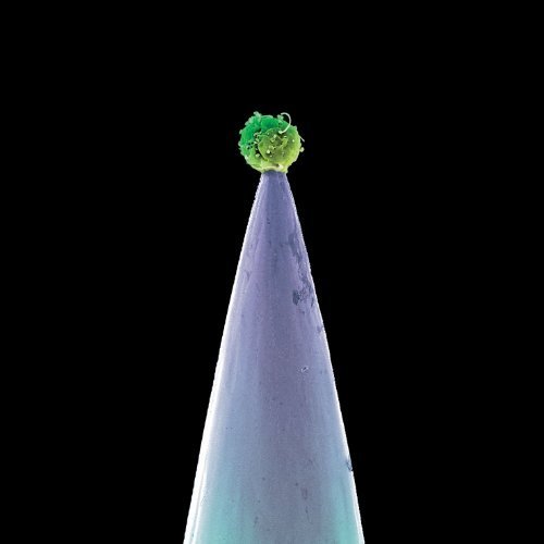 Peter Gabriel - New Blood [2LP's+LP7