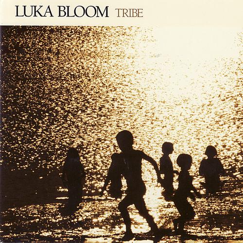 Luka Bloom - TRIBE [CD]