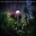Emil Brandqvist Trio - Entering The Woods [CD]
