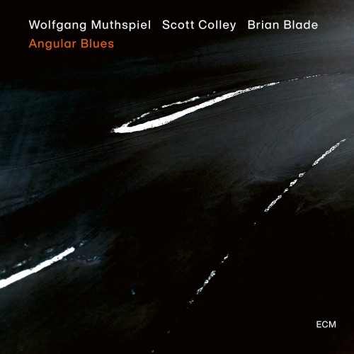 Wolfgang Muthspiel - Angular Blues (CD)