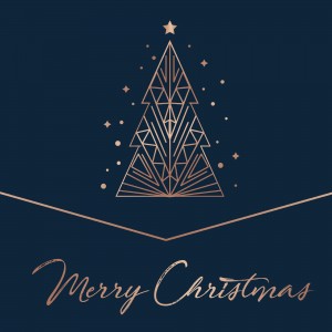 Merry Christmas - Various Artists [2LP]