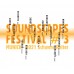 SoundScapes # 3 FESTIVAL MUNICH - 2021 SchwereReiter - Various Artists [2CD]