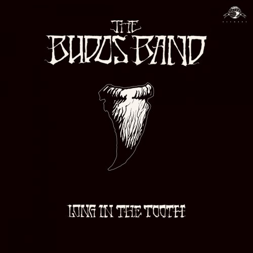 The Budos Band - Long in the Tooth [LP]