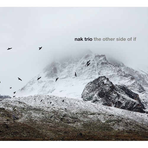 NAK Trio [Dominik Wania - Jacek Kochan - Michał Kapczuk] - The Other Side Of If [CD]