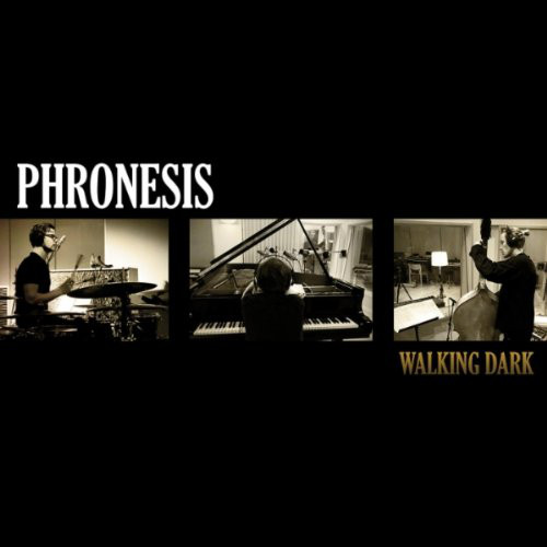 Phronesis - WALKING DARK [CD]