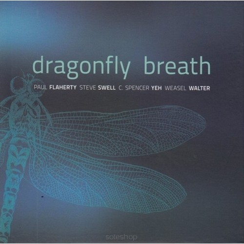Paul Flaherty / Steve Swell / C. Spencer Yeh / Weasel Walter - Dragonfly Brath [CD]