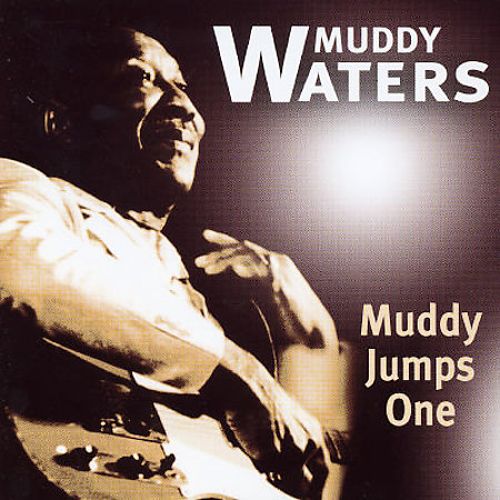 Muddy Waters - MUDDY JUMPS ONE