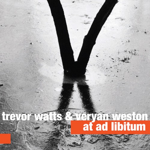 Trevor Watts & Veryan Weston - AT AD LIBITUM
