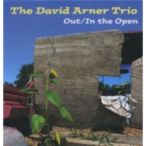 The David Arner Trio - Out / In the Open [CD]
